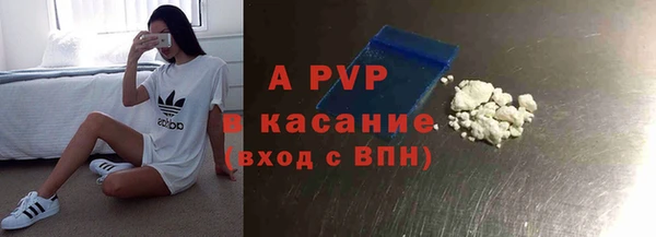 индика Нязепетровск