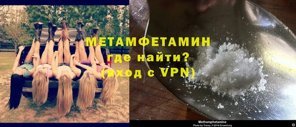 индика Нязепетровск