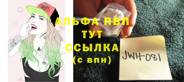 индика Нязепетровск