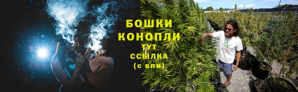 индика Нязепетровск