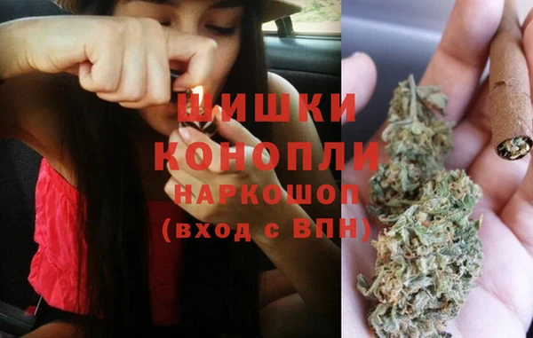 индика Нязепетровск