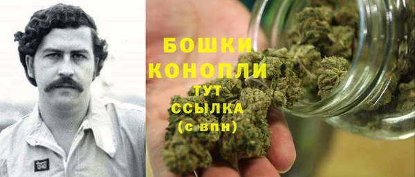 индика Нязепетровск