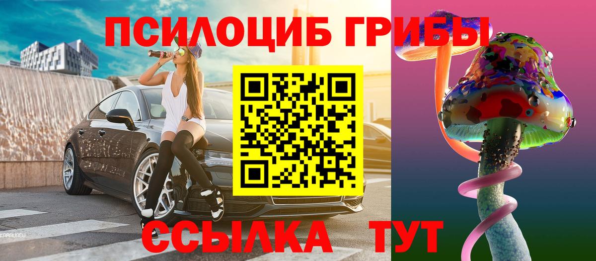 Галлюциногенные грибы Psilocybe Мурманск