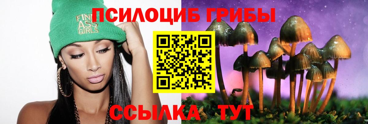 Галлюциногенные грибы Psilocybine cubensis  Мурманск 