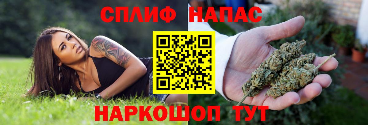 Бошки марихуана марихуана Мурманск
